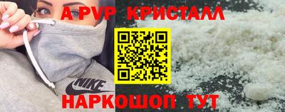 apvp Кингисепп