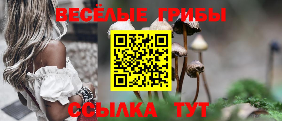 Псилоцибиновые грибы MAGIC MUSHROOMS  Вход с VPN  Красный Сулин 